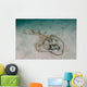 Southern Fiddler Ray Sandy Wall Decal