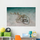 Southern Fiddler Ray Sandy Wall Decal