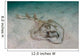 Southern Fiddler Ray Sandy Wall Decal