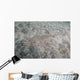 Brown Guitarfish Rhinobatos Schlegelii Wall Decal