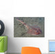 Juvenile Tasmanian Numbfish Hobart Wall Decal