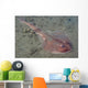 Juvenile Tasmanian Numbfish Hobart Wall Decal