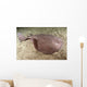 Short-tailed Torpedo Ray Torpedo Wall Decal