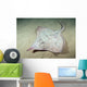 Deepwater Adult Skate Raja Wall Decal
