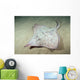 Deepwater Adult Skate Raja Wall Decal
