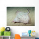 Deepwater Adult Skate Raja Wall Decal
