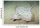Deepwater Adult Skate Raja Wall Decal