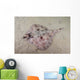 Thornthornback Skate Hobart Australia back Wall Decal