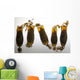Cloudy Catshark Egg Cases Wall Decal