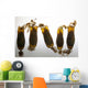 Cloudy Catshark Egg Cases Wall Decal