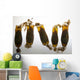 Cloudy Catshark Egg Cases Wall Decal