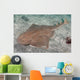 Japanese Angel Shark Squatina Wall Decal