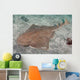 Japanese Angel Shark Squatina Wall Decal