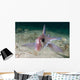 Adult Spotted Ratfish over Wall Decal