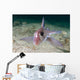Adult Spotted Ratfish over Wall Decal