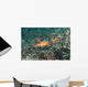 Weedy Seadragon Foraging for Wall Decal Design 2