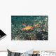 Weedy Seadragon Foraging for Wall Decal Design 2