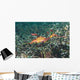 Weedy Seadragon Foraging for Wall Decal Design 2