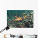 Weedy Seadragon Foraging for Wall Decal Design 2