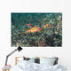 Weedy Seadragon Foraging for Wall Decal Design 2