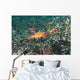 Weedy Seadragon Foraging for Wall Decal Design 2