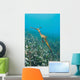 Weedy Seadragon Foraging for Wall Decal Design 1