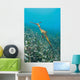 Weedy Seadragon Foraging for Wall Decal Design 1