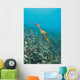 Weedy Seadragon Foraging for Wall Decal Design 1