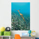 Weedy Seadragon Foraging for Wall Decal Design 1