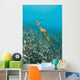 Weedy Seadragon Foraging for Wall Decal Design 1