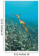 Weedy Seadragon Foraging for Wall Decal Design 1