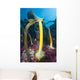 Bull Kelp Fronds Growing Wall Decal