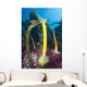 Bull Kelp Fronds Growing Wall Decal