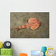 Juvenile Tasmanian Numbfish Narcine Wall Decal