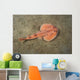 Juvenile Tasmanian Numbfish Narcine Wall Decal