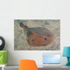 Japanese Numbray Narke Japonica Wall Decal