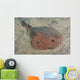 Japanese Numbray Narke Japonica Wall Decal