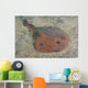 Japanese Numbray Narke Japonica Wall Decal
