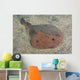 Japanese Numbray Narke Japonica Wall Decal