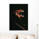 Pacific Blackdragon Showing Luminescent Wall Decal