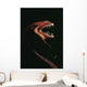 Pacific Blackdragon Showing Luminescent Wall Decal