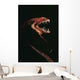 Pacific Blackdragon Showing Luminescent Wall Decal