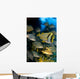 Schooling Porkfish White Margate Wall Decal Design 6