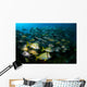 Schooling Porkfish White Margate Wall Decal Design 5