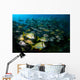 Schooling Porkfish White Margate Wall Decal Design 5
