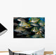 Schooling Porkfish White Margate Wall Decal Design 4