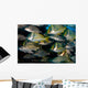 Schooling Porkfish White Margate Wall Decal Design 4