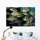 Schooling Porkfish White Margate Wall Decal Design 4