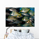 Schooling Porkfish White Margate Wall Decal Design 4