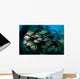 Schooling Porkfish White Margate Wall Decal Design 2